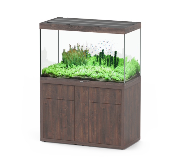Aquatlantis aquaria - Image 8