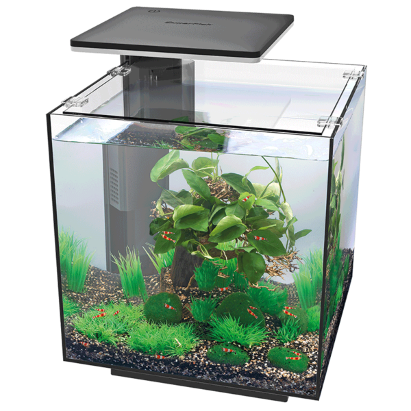 Superfish aquaria - Image 2