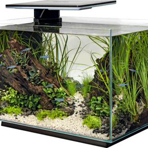 Superfish aquaria