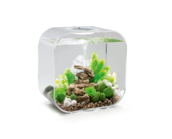 Biorb aquaria - Image 4