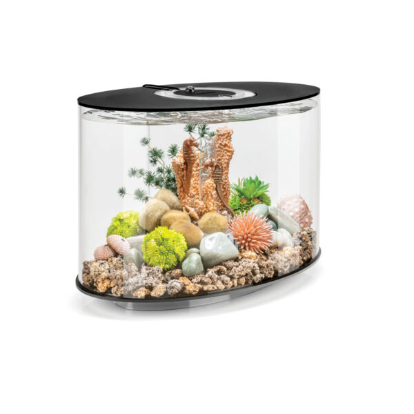 Biorb aquaria - Image 5