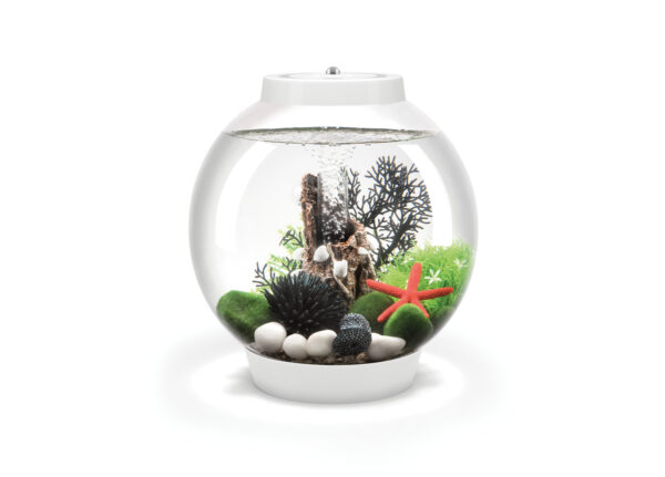 Biorb aquaria - Image 2