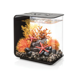 Biorb aquaria
