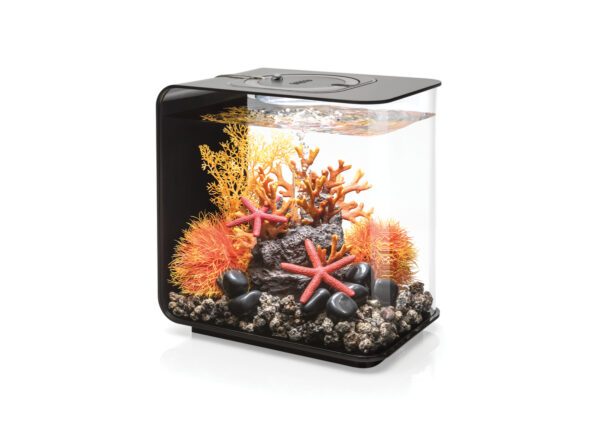 Biorb aquaria