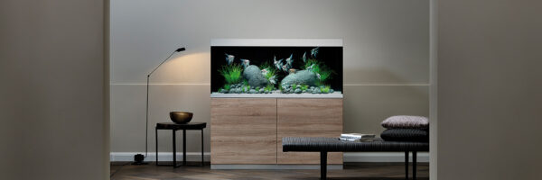 Oase premium aquaria - Image 5
