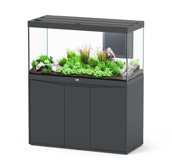 Aquatlantis aquaria - Image 2